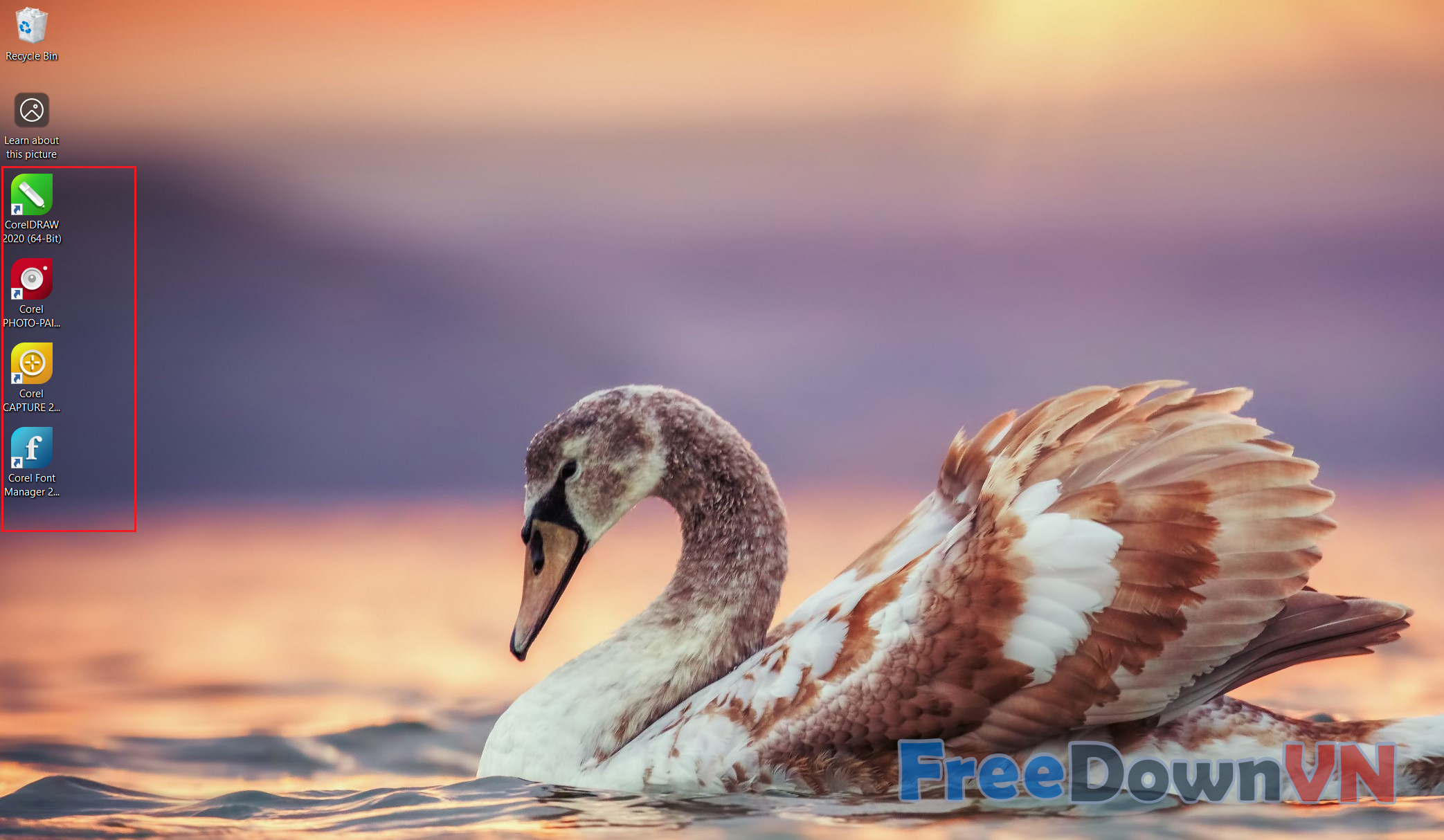 Cài đặt CorelDRAW 2020
