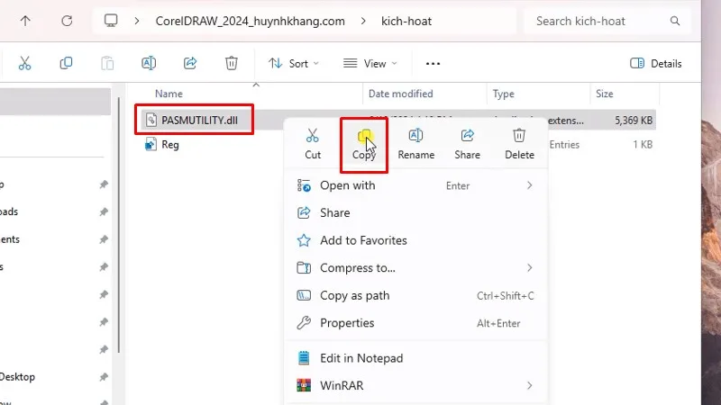 Copy file như hình